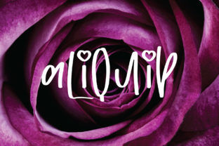 Aliquip: A Classy Script Font