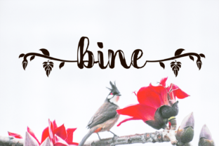 Bine: A Bold Handwritten Font