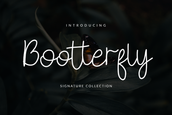 Bootterfly Font: Elegant Script for Web Design