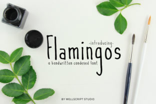 Flamingos Font for Business Branding
