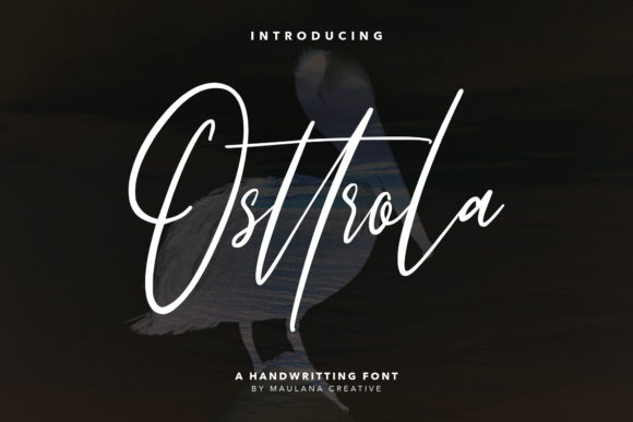 Osttrola: A Font That Elevates Your Brand