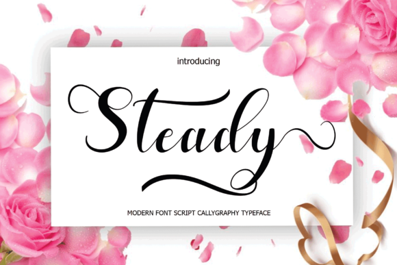 Steady: A Elegant Script Font